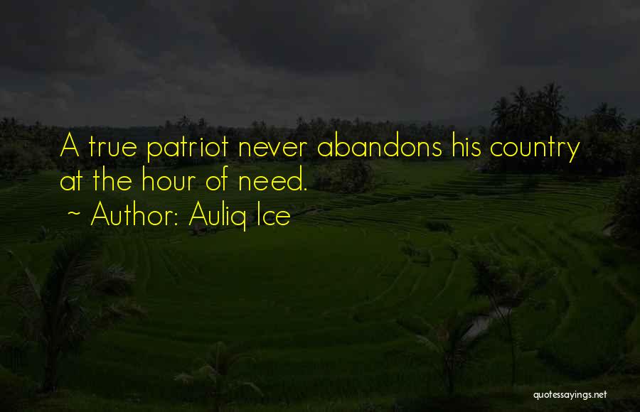 Patriotism Vs Nationalism Quotes By Auliq Ice