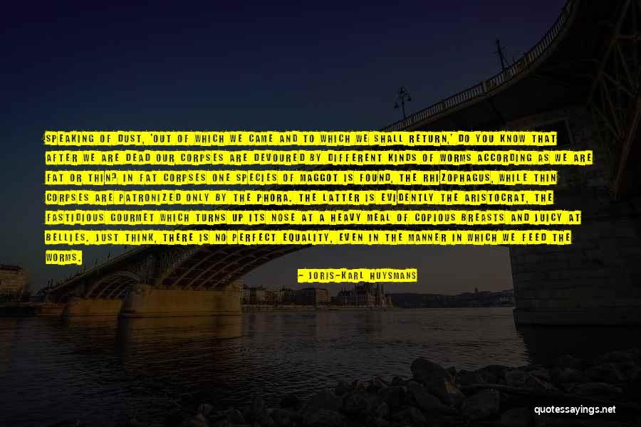 Patronized In A Way Quotes By Joris-Karl Huysmans Patronized In A Way Quotes By Joris-Karl Huysmans