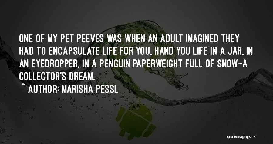 Patronizing Quotes By Marisha Pessl