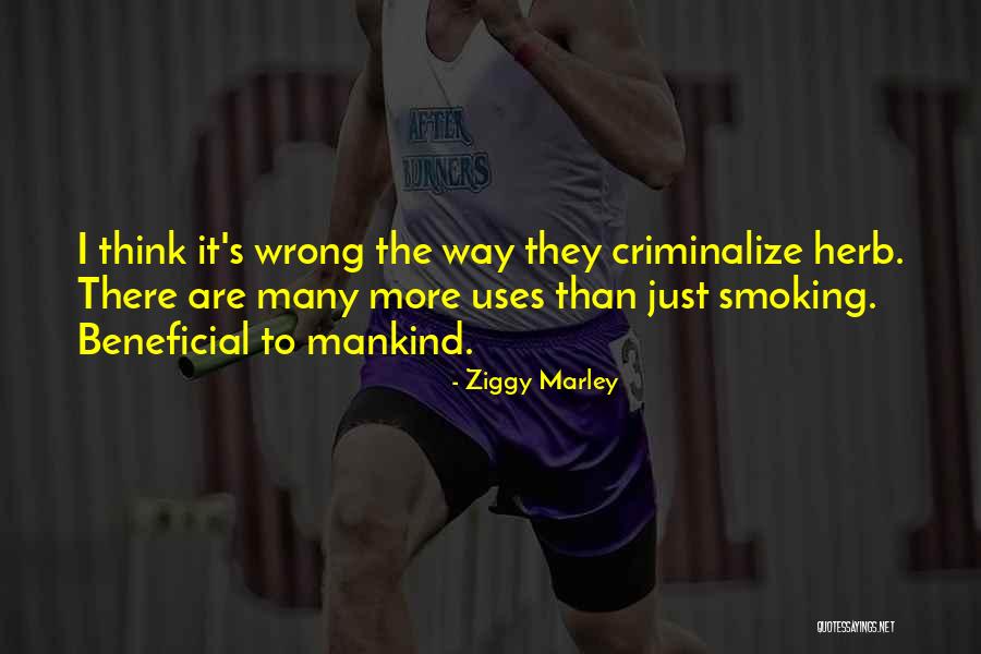 Patsie L Quotes By Ziggy Marley Patsie L Quotes By Ziggy Marley