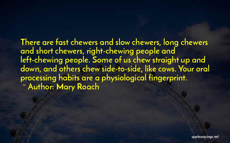 Patsystems Quotes By Mary Roach