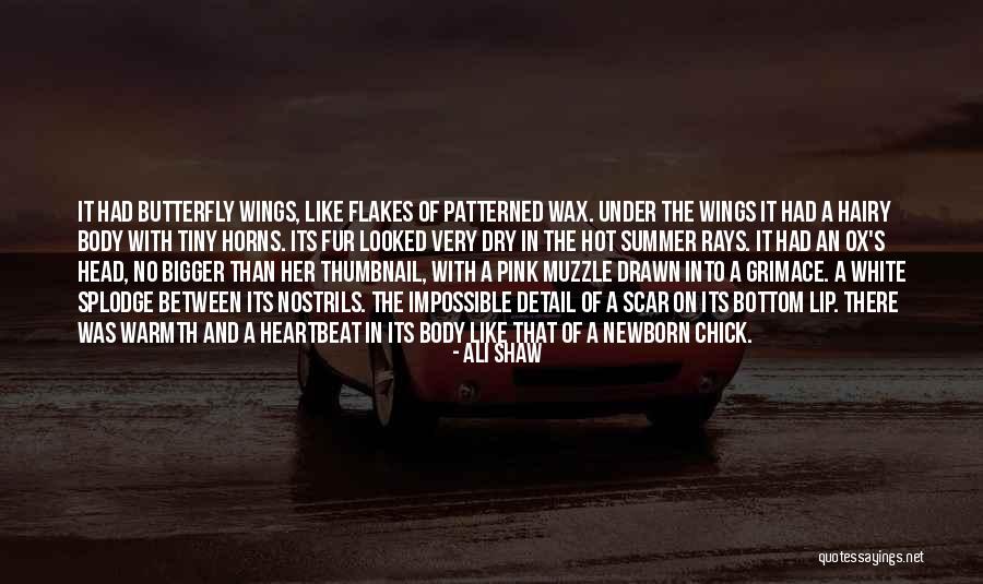 Patterned Quotes By Ali Shaw Patterned Quotes By Ali Shaw