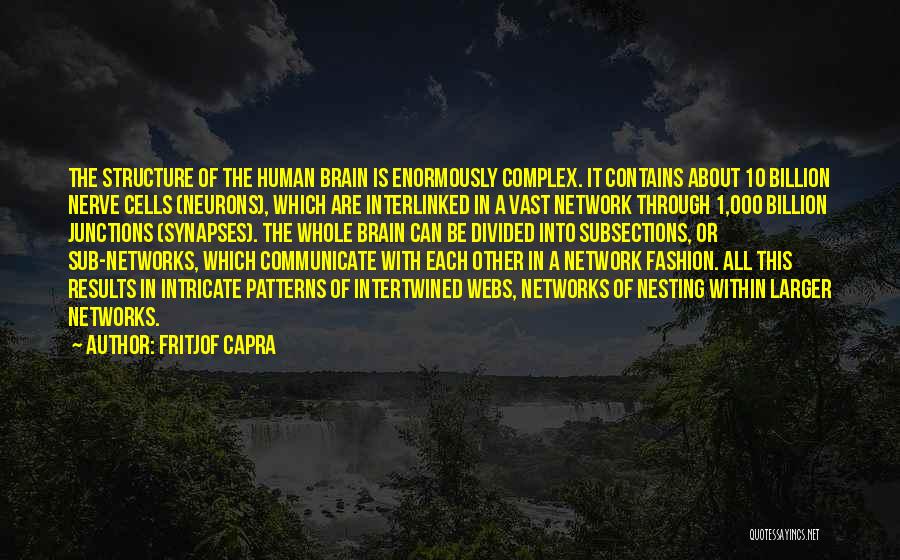 Patterns In Fashion Quotes By Fritjof Capra