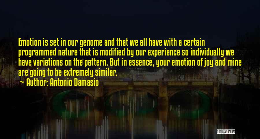 Patterns In Nature Quotes By Antonio Damasio