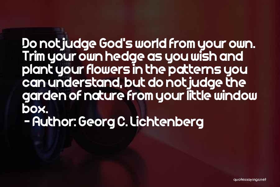 Patterns In Nature Quotes By Georg C. Lichtenberg