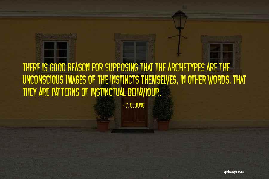 Patterns Of Behaviour Quotes By C. G. Jung Patterns Of Behaviour Quotes By C. G. Jung