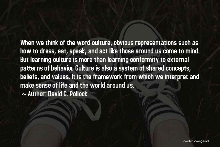 Patterns Of Culture Quotes By David C. Pollock