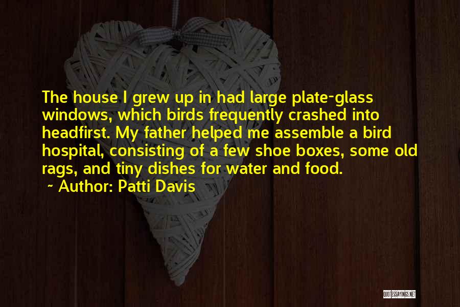 Patti Davis Quotes 2034355