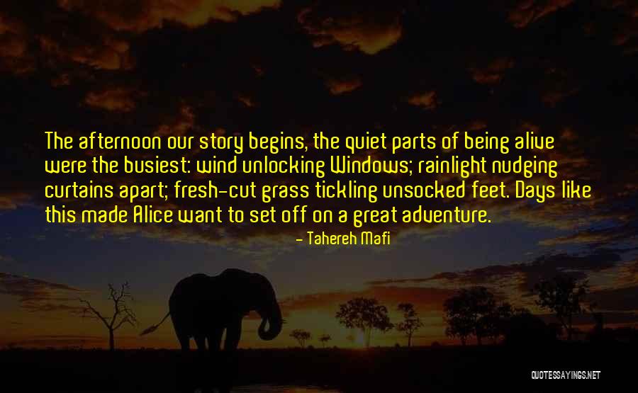 Patties In Grand Quotes By Tahereh Mafi Patties In Grand Quotes By Tahereh Mafi