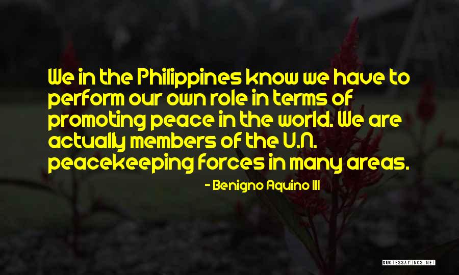 Pattinaggio A Rotelle Quotes By Benigno Aquino III Pattinaggio A Rotelle Quotes By Benigno Aquino III