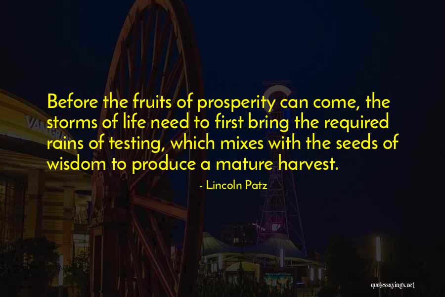 Patz Quotes By Lincoln Patz Patz Quotes By Lincoln Patz