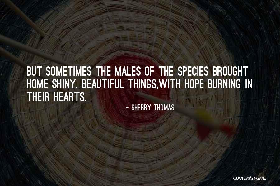 Patzcuaro Mexico Quotes By Sherry Thomas Patzcuaro Mexico Quotes By Sherry Thomas