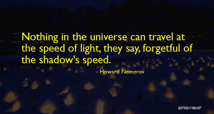 Pauchok Quotes By Howard Nemerov Pauchok Quotes By Howard Nemerov