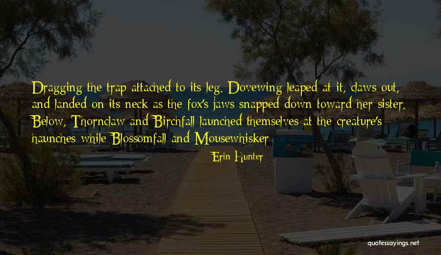 Pauk Teliai Iema Pie Iniai Quotes By Erin Hunter Pauk Teliai Iema Pie Iniai Quotes By Erin Hunter