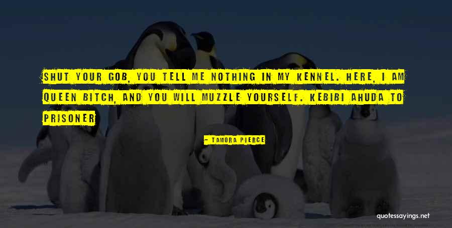 Pauken Maumee Quotes By Tamora Pierce Pauken Maumee Quotes By Tamora Pierce