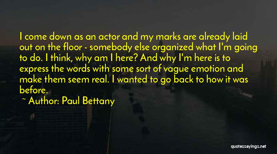 Paul Bettany Quotes 1463763 Paul Bettany Quotes 1463763