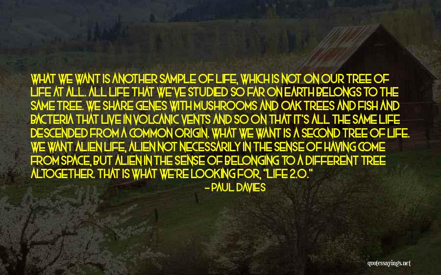 Paul Davies Quotes 1448419 Paul Davies Quotes 1448419