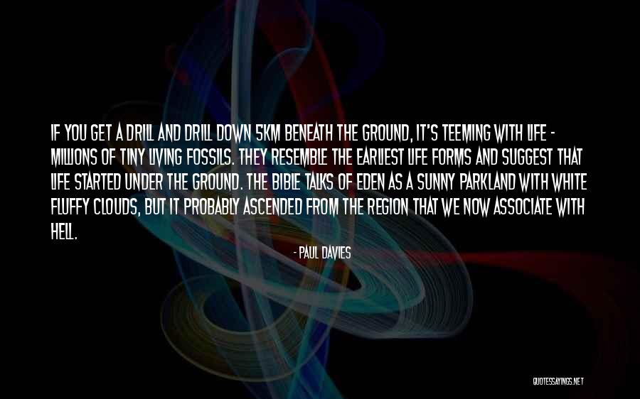 Paul Davies Quotes 1817530 Paul Davies Quotes 1817530
