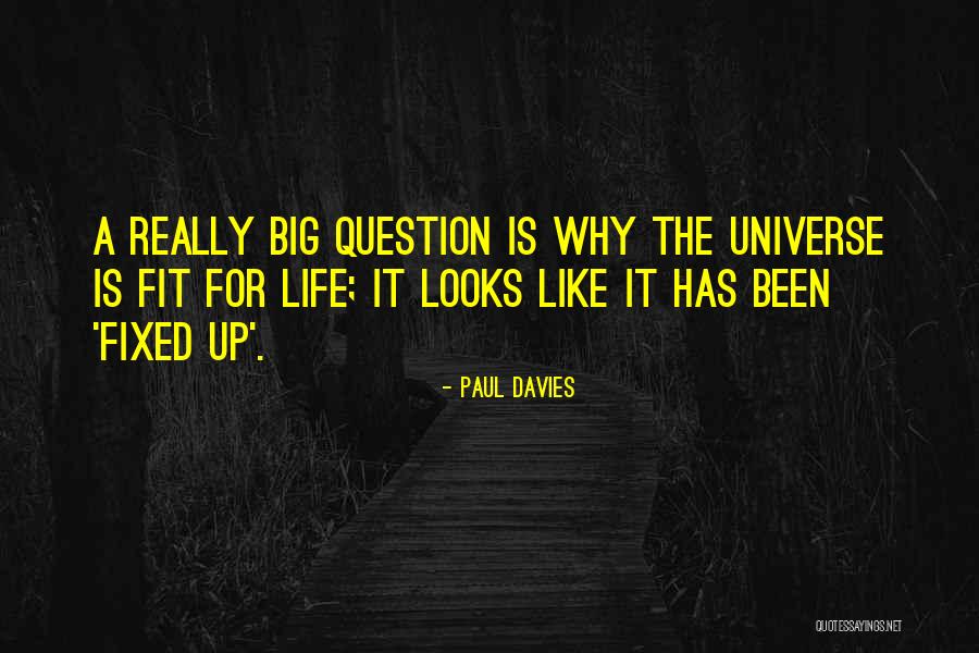 Paul Davies Quotes 589389 Paul Davies Quotes 589389
