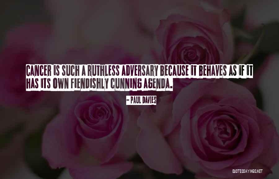 Paul Davies Quotes 987130 Paul Davies Quotes 987130
