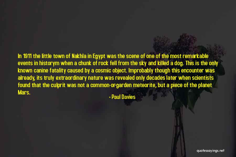 Paul Davies Quotes 994959