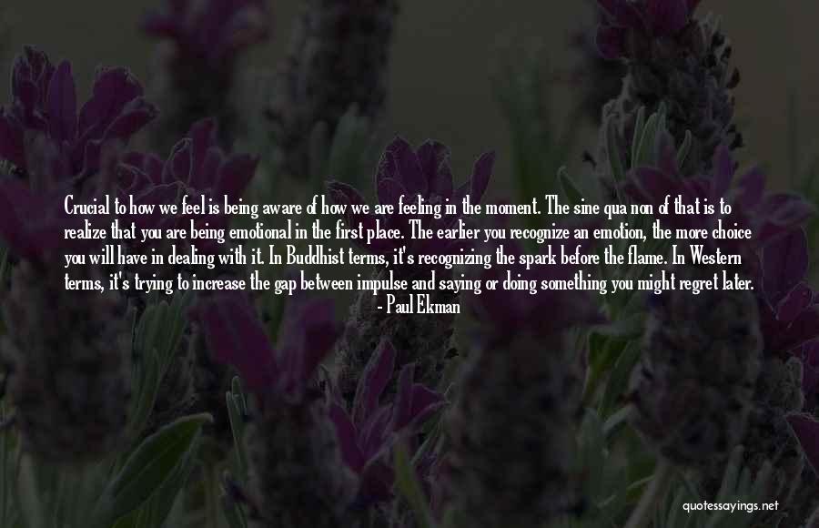 Paul Ekman Quotes 1244035 Paul Ekman Quotes 1244035