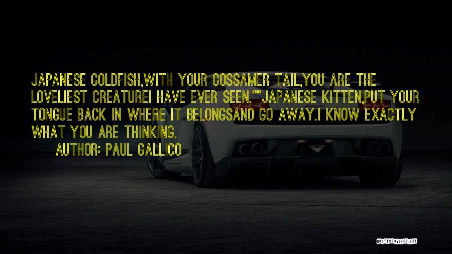 Paul Gallico Quotes 1340691