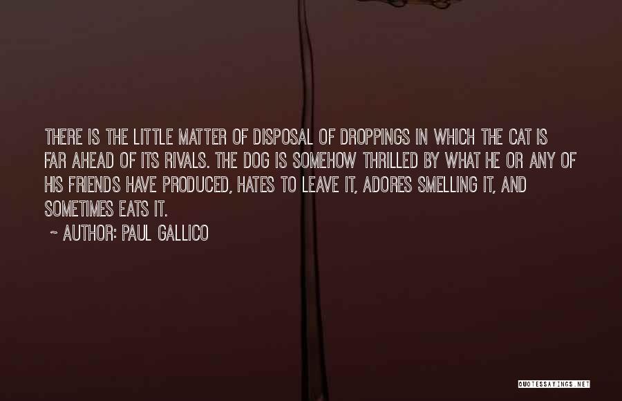 Paul Gallico Quotes 1570146