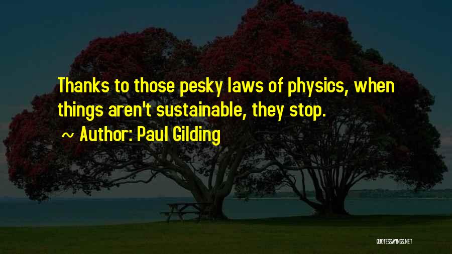 Paul Gilding Quotes 2207060