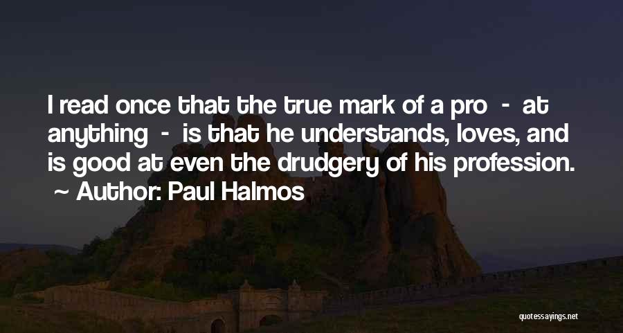 Paul Halmos Quotes 670544