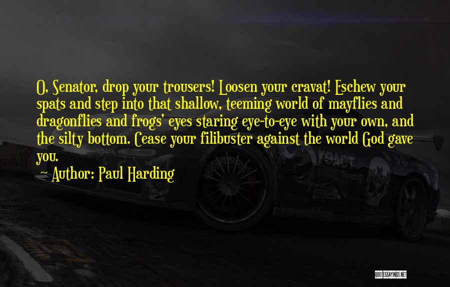 Paul Harding Quotes 843933