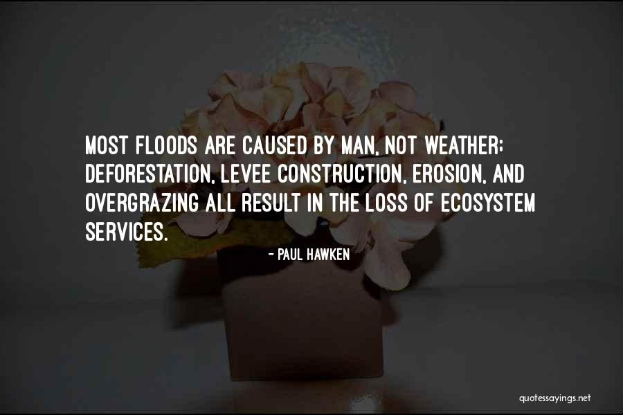 Paul Hawken Quotes 1028120