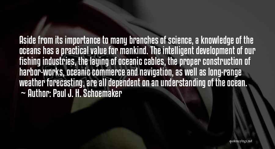 Paul J. H. Schoemaker Quotes 1075693