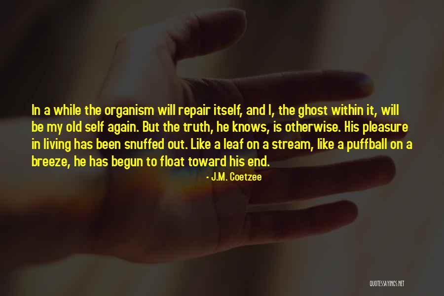 Paul Lind Hollywood Squares Quotes By J.M. Coetzee Paul Lind Hollywood Squares Quotes By J.M. Coetzee
