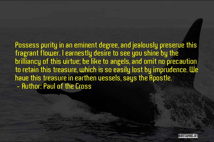 Paul Of The Cross Quotes 1236963