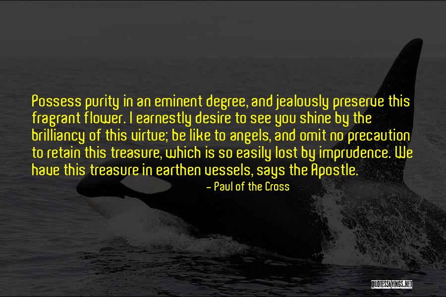 Paul Of The Cross Quotes 1236963