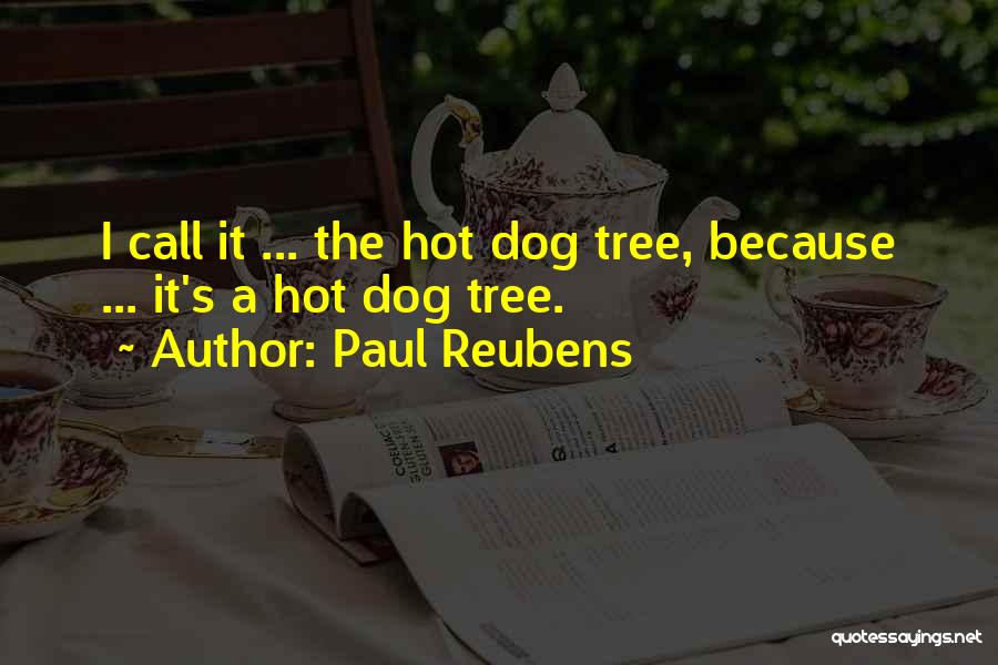 Paul Reubens Quotes 869561