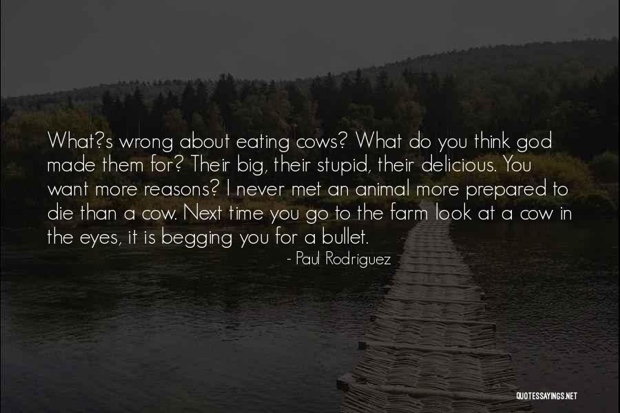 Paul Rodriguez Quotes 2148325 Paul Rodriguez Quotes 2148325