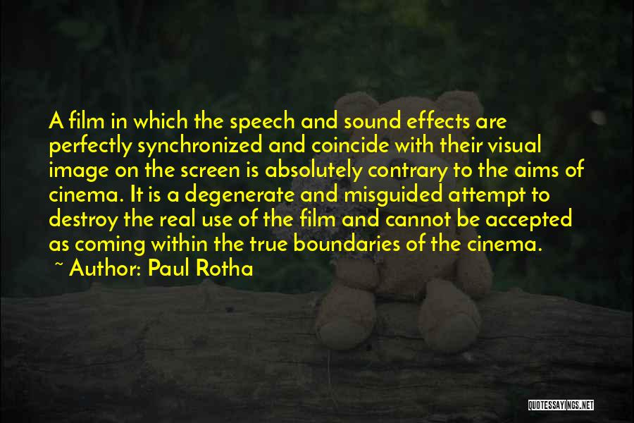 Paul Rotha Quotes 1521246