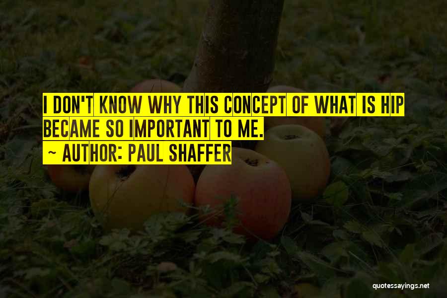 Paul Shaffer Quotes 1808379