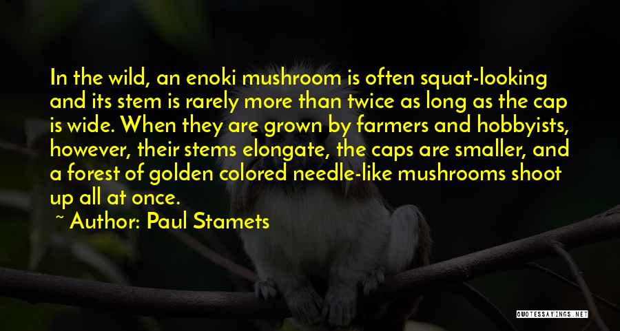 Paul Stamets Quotes 1446064