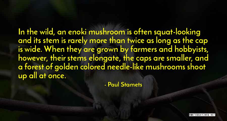 Paul Stamets Quotes 1446064