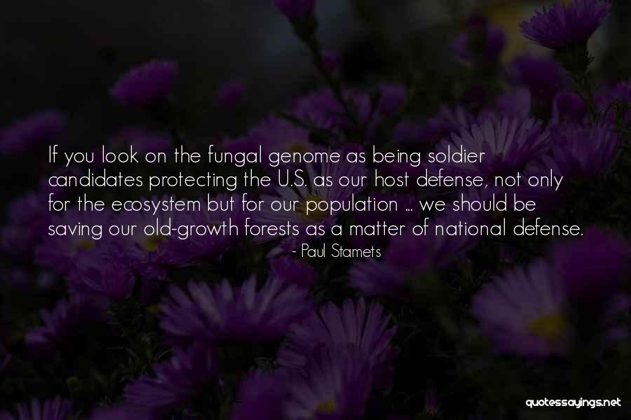 Paul Stamets Quotes 1581173