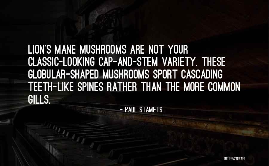 Paul Stamets Quotes 750185