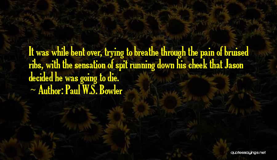 Paul W.S. Bowler Quotes 614109