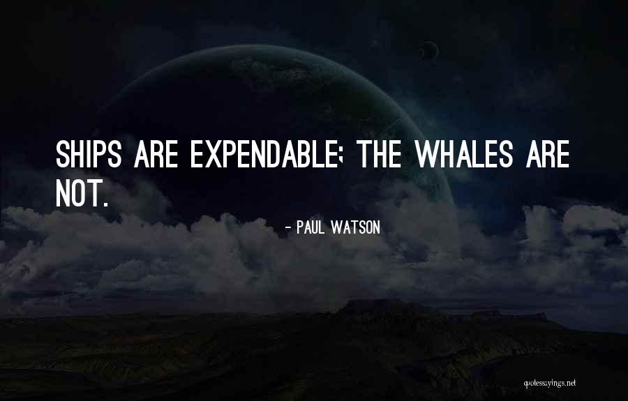 Paul Watson Quotes 1175301