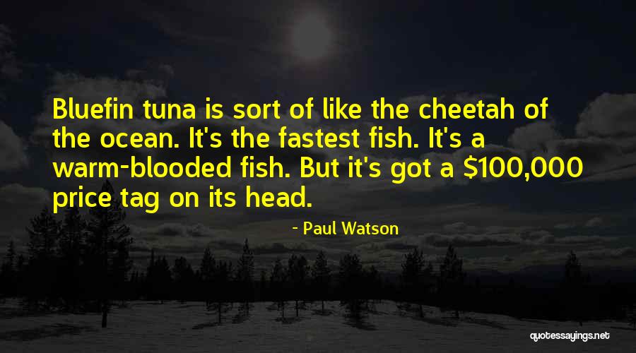 Paul Watson Quotes 1888122