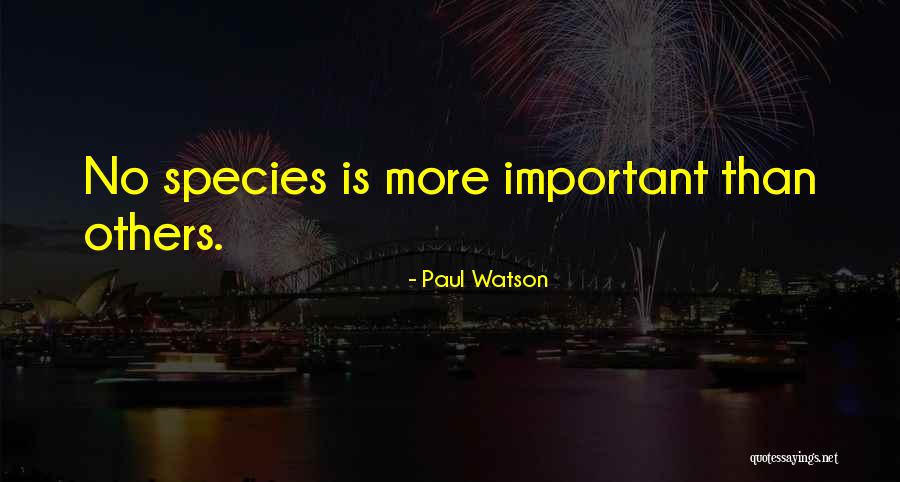 Paul Watson Quotes 501052