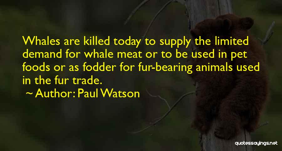 Paul Watson Quotes 542292