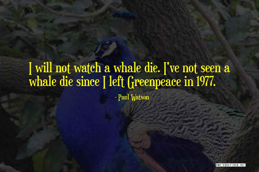 Paul Watson Quotes 647348